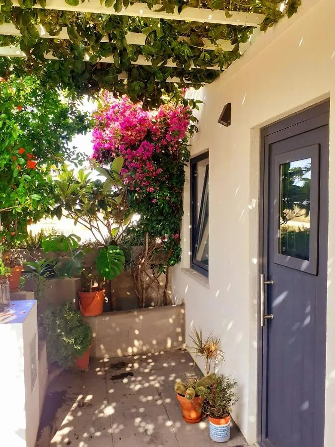 Zenergy - Guest House Odeceixe